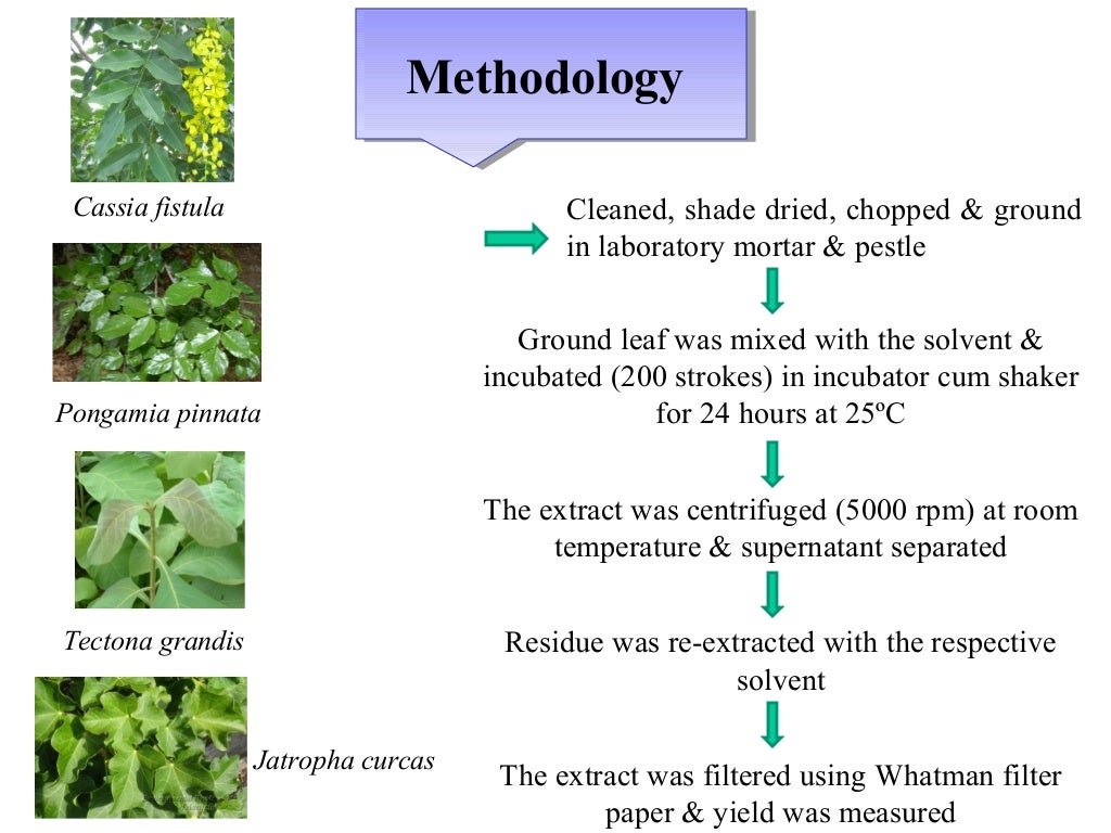 Extraction and phytochemical analysis of medicinal plants
