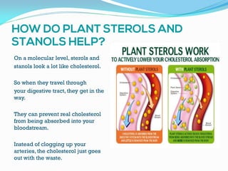 On a molecular level, sterols and
stanols look a lot like cholesterol.
So when they travel through
your digestive tract, they get in the
way.
They can prevent real cholesterol
from being absorbed into your
bloodstream.
Instead of clogging up your
arteries, the cholesterol just goes
out with the waste.
 
