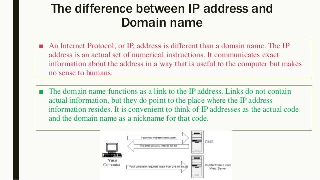IP address and Domain name