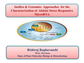 Insilico & Genomics Approaches for the
Characterization of Abiotic Stress Responsive
MicroRNA
Rishiraj Raghuvanshi
M.Sc. Previous
Dept. of Plant Molecular Biology & Biotechnology
 