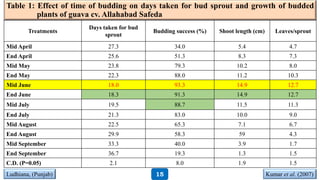 Table 1: Effect of time of budding on days taken for bud sprout and growth of budded
plants of guava cv. Allahabad Safeda
Treatments
Days taken for bud
sprout
Budding success (%) Shoot length (cm) Leaves/sprout
Mid April 27.3 34.0 5.4 4.7
End April 25.6 51.3 8.3 7.3
Mid May 23.8 79.3 10.2 8.0
End May 22.3 88.0 11.2 10.3
Mid June 18.0 93.3 14.9 12.7
End June 18.3 91.3 14.9 12.7
Mid July 19.5 88.7 11.5 11.3
End July 21.3 83.0 10.0 9.0
Mid August 22.5 65.3 7.1 6.7
End August 29.9 58.3 59 4.3
Mid September 33.3 40.0 3.9 1.7
End September 36.7 19.3 1.3 1.5
C.D. (P=0.05) 2.1 8.0 1.9 1.5
Ludhiana, (Punjab) Kumar et al. (2007)15
 