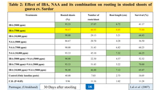 Table 2: Effect of IBA, NAA and its combination on rooting in stooled shoots of
guava cv. Sardar
Treatments Rooted shoots
(%)
Number of
roots/shoot
Root length (cm) Survival (%)
IBA (5000 ppm) 93.33 37.07 6.72 41.17
IBA (7500 ppm) 96.67 46.93 8.45 75.00
IBA (10,000 ppm) 90.00 29.13 5.21 64.43
NAA (5000 ppm) 86.67 20.70 4.28 36.50
NAA (7500 ppm) 90.00 31.43 6.82 60.25
NAA (10,000 ppm) 93.33 45.10 7.32 64.25
IBA (5000 ppm) +NAA (5000 ppm) 90.00 22.30 4.37 52.32
IBA (7500 ppm)+NAA (5000 ppm) 93.33 31.43 5.22 70.00
IBA (10,000 ppm)+NAA (5000 ppm) 96.00 46.00 7.12 65.07
Control (Only lanoline paste) 40.00 7.03 2.73 10.05
C.D. (P=0.05) 9.96 11.16 1.02 11.28
Lal et al. (2007)Pantnagar, (Uttrakhand) 30 Days after stooling 16
 