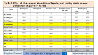 Table 3: Effect of IBA concentration, time of layering and rooting media on root
parameters of guava cv. Sardar
Factor Rooting (%) Primary roots Secondary roots Length of longest
root (cm)
Root weight (g)
Fresh Dry
I0 (Control) 63.70 2.80 4.77 1.76 0.445 0.081
I1 (2000 ppm) 74.45 5.04 10.82 4.87 1.276 0.230
I2 (3000 ppm) 78.47 6.79 17.53 6.95 1.831 0.335
I3 (4000 ppm) 83.15 9.14 22.82 8.92 2.346 0.433
C.D. (P=0.05) 0.30 0.02 0.04 0.04 0.004 0.001
M1 (15 June) 71.94 4.99 12.04 4.53 1.280 0.231
M2 (15 July) 74.95 6.07 14.30 5.81 1.503 0.277
M3 (15 August) 77.94 6.77 15.61 6.53 1.641 0.302
C.D. (P=0.05) 0.41 0.03 0.05 0.06 0.006 0.001
SM 76.55 6.22 14.59 5.91 1.533 0.281
CP 73.34 5.67 13.37 5.34 1.416 0.259
C.D. (P=0.05) 0.36 0.03 0.04 0.05 0.005 0.001
Rymbai and Reddy (2010)Hyderabad, (Telangana) CP = Coco peat, SM = Sphagnum moss 17
 