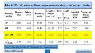Table 4: Effect of rooting media on root parameters in air-layers of guava cv. Sardar
Rooting
media
Rooting
(%)
Primary
roots
Secondary
roots
Length of
longest
root (cm)
Roots weight
(g)
Establish
-ment
(%)
Number of
leaves
(60 DAT)Dry fresh
CP 80.00 9.60 19.20 9.336 2.45 0.45 77.50 8.00
SM 82.50 9.80 20.40 10.133 2.57 0.46 79.17 13.00
CP + SM 85.00 10.80 22.40 10.78 2.72 0.51 83.33 13.83
C.D.
(P=0.05)
0.44 0.83 1.12 0.82 0.09 0.02 2.62 1.15
Hyderabad, (Telangana) Rymbai et al. (2012)
Note-75 Days after layering (CP= Coco peat, SM= Sphagnum moss)
18
 