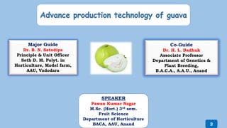 Major Guide
Dr. B. N. Satodiya
Principle & Unit Officer
Seth D. M. Polyt. in
Horticulture, Model farm,
AAU, Vadodara
Co-Guide
Dr. H. L. Dadhuk
Associate Professor
Department of Genetics &
Plant Breeding,
B.A.C.A., A.A.U., Anand
SPEAKER
Pawan Kumar Nagar
M.Sc. (Hort.) 3rd sem.
Fruit Science
Department of Horticulture
BACA, AAU, Anand 2
 