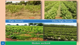 High Density Ultra High Density
3 x 3 m 3 x 1.5 m
2 x 1 m
22
 