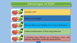 Advantages of HDP
Increases yield
Improves fruit quality
Reduces labour cost resulting in low cost of production
Enables mechanization of fruit crop production
It facilitates more efficient use of fertilizers, water, solar
radiation, fungicides, weedicides and pesticides
 