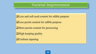 Varietal Improvement
Less and soft seed content for edible purpose
Less pectin content for edible purpose
More pectin content for processing
High keeping quality
Uniform ripening
28
 