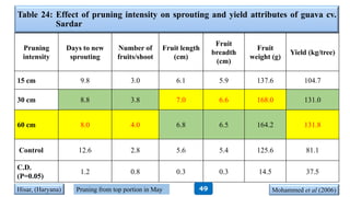 Table 24: Effect of pruning intensity on sprouting and yield attributes of guava cv.
Sardar
Pruning
intensity
Days to new
sprouting
Number of
fruits/shoot
Fruit length
(cm)
Fruit
breadth
(cm)
Fruit
weight (g)
Yield (kg/tree)
15 cm 9.8 3.0 6.1 5.9 137.6 104.7
30 cm 8.8 3.8 7.0 6.6 168.0 131.0
60 cm 8.0 4.0 6.8 6.5 164.2 131.8
Control 12.6 2.8 5.6 5.4 125.6 81.1
C.D.
(P=0.05)
1.2 0.8 0.3 0.3 14.5 37.5
Hisar, (Haryana) Mohammed et al (2006)Pruning from top portion in May 49
 