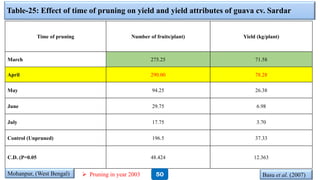 Table-25: Effect of time of pruning on yield and yield attributes of guava cv. Sardar
Time of pruning Number of fruits/plant) Yield (kg/plant)
March 275.25 71.58
April 290.00 78.28
May 94.25 26.38
June 29.75 6.98
July 17.75 3.70
Control (Unpruned) 196.5 37.33
C.D. (P=0.05 48.424 12.363
Basu et al. (2007)Mohanpur, (West Bengal) 50 Pruning in year 2003
 