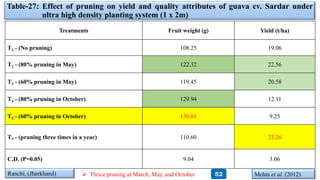 Table-27: Effect of pruning on yield and quality attributes of guava cv. Sardar under
ultra high density planting system (1 x 2m)
Treatments Fruit weight (g) Yield (t/ha)
T1 - (No pruning) 108.25 19.06
T2 - (80% pruning in May) 122.32 22.56
T3 - (60% pruning in May) 119.45 20.58
T4 - (80% pruning in October) 129.94 12.11
T5 - (60% pruning in October) 130.01 9.25
T7 - (pruning three times in a year) 110.60 23.26
C.D. (P=0.05) 9.04 3.06
Mehta et al. (2012)Ranchi, (Jharkhand) 52 Thrice pruning at March, May, and October
 