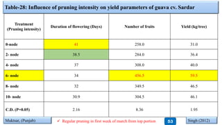 Table-28: Influence of pruning intensity on yield parameters of guava cv. Sardar
Treatment
(Pruning intensity)
Duration of flowering (Days) Number of fruits Yield (kg/tree)
0-node 41 258.0 31.0
2- node 38.5 284.0 36.4
4- node 37 308.0 40.0
6- node 34 456.5 59.5
8- node 32 349.5 46.5
10- node 30.9 304.5 46.1
C.D. (P=0.05) 2.16 8.36 1.95
Singh (2012)Muktsar, (Punjab) 53 Regular pruning in first week of march from top portion
 