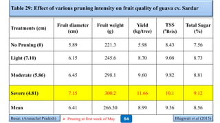 Table 29: Effect of various pruning intensity on fruit quality of guava cv. Sardar
Treatments (cm)
Fruit diameter
(cm)
Fruit weight
(g)
Yield
(kg/tree)
TSS
(ºBrix)
Total Sugar
(%)
No Pruning (0) 5.89 221.3 5.98 8.43 7.56
Light (7.10) 6.15 245.6 8.70 9.08 8.73
Moderate (5.86) 6.45 298.1 9.60 9.82 8.81
Severe (4.81) 7.15 300.2 11.66 10.1 9.12
Mean 6.41 266.30 8.99 9.36 8.56
Basar, (Arunachal Pradesh) Bhagwati et al (2015)54 Pruning at first week of May
 