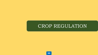 CROP REGULATION
55
 