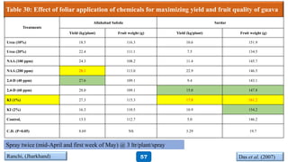 Table 30: Effect of foliar application of chemicals for maximizing yield and fruit quality of guava
Treatments
Allahabad Safeda Sardar
Yield (kg/plant) Fruit weight (g) Yield (kg/plant) Fruit weight (g)
Urea (10%) 18.5 116.3 10.6 151.9
Urea (20%) 22.4 111.1 7.5 134.5
NAA (100 ppm) 24.3 108.2 11.4 145.7
NAA (200 ppm) 28.1 113.0 22.9 146.5
2,4-D (40 ppm) 27.6 109.1 9.4 143.1
2,4-D (60 ppm) 28.0 109.1 15.0 147.8
KI (1%) 27.3 115.3 17.8 161.2
KI (2%) 16.3 110.5 10.9 154.2
Control, 13.5 112.7 5.0 146.2
C.D. (P=0.05) 8.69 NS 3.29 19.7
Das et al. (2007)Ranchi, (Jharkhand)
Spray twice (mid-April and first week of May) @ 3 ltr/plant/spray
57
 