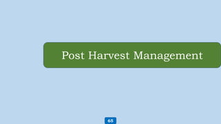 Post Harvest Management
65
 