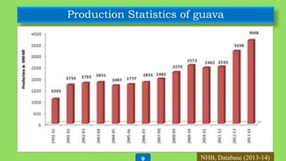 Production Statistics of guava
NHB, Database (2013-14)9
 