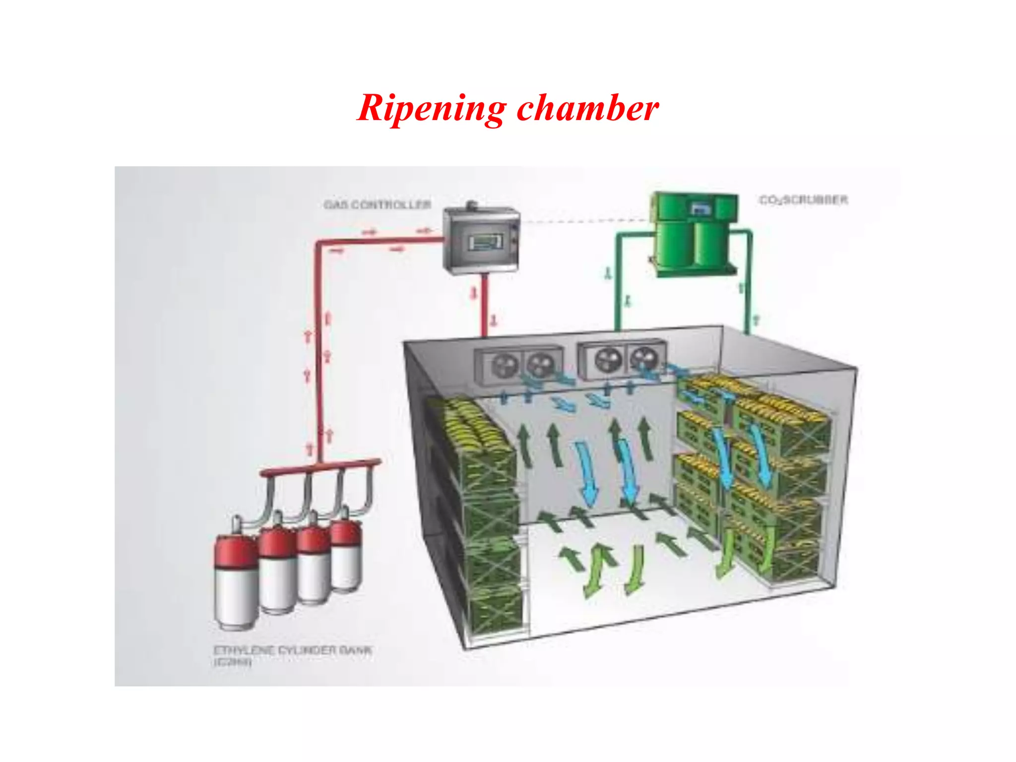 Ripening chamber
 