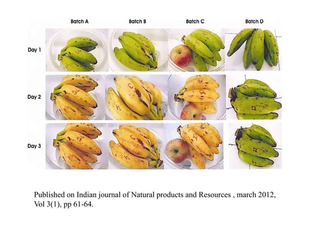 Artificial ripening of fruits | PPTX | Agriculture | Industries