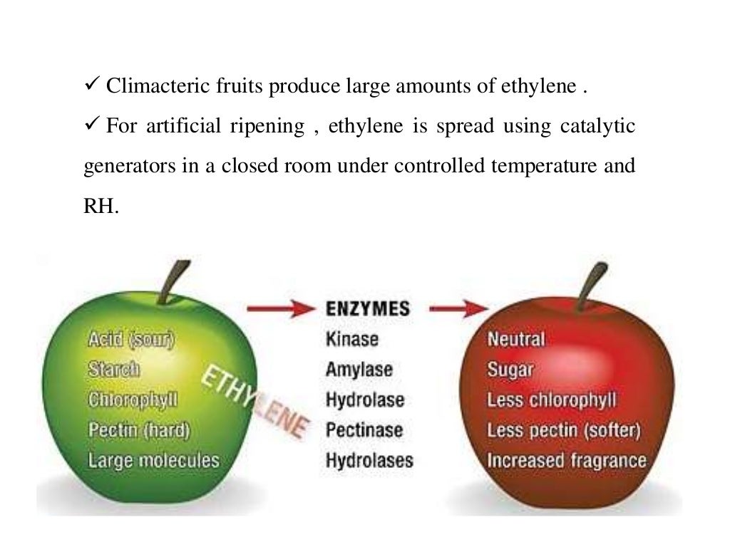 Artificial ripening of fruits