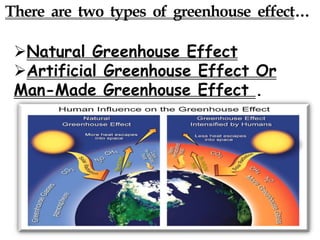 There are two types of greenhouse effect…
Natural Greenhouse Effect
Artificial Greenhouse Effect Or
Man-Made Greenhouse Effect .
 
