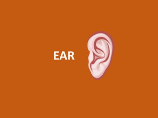 EAR
 