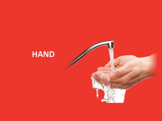 HAND
 