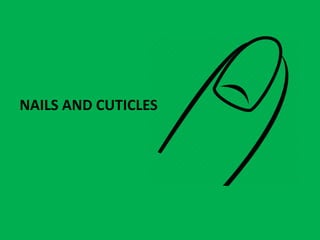 NAILS AND CUTICLES
 