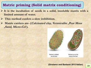  It is the incubation of seeds in a solid, insoluble matrix with a
limited amount of water.
 This method confers a slow imbibition.
 Matric carriers are- (Calcinated clay, Vermiculite ,Peat Moss
,Sand, Micro-Cel ).
Matric priming (Solid matrix conditioning)
19
(Girolamo and Barbanti 2012 Italian)
 