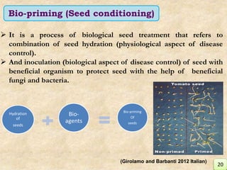 Bio-priming (Seed conditioning)
 It is a process of biological seed treatment that refers to
combination of seed hydration (physiological aspect of disease
control).
 And inoculation (biological aspect of disease control) of seed with
beneficial organism to protect seed with the help of beneficial
fungi and bacteria.
(Girolamo and Barbanti 2012 Italian)
Hydration
of
seeds
Bio-
agents
Bio-priming
Of
seeds
20
 