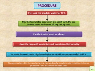 Mix the formulated product of bio-agent with the pre-
soaked seeds at the rate of 10 g per kg seed.
Pre-soak the seeds in water for 12 h.
Put the treated seeds as a heap.
Cover the heap with a moist jute sack to maintain high humidity.
Incubate the seeds under high humidity for about 48 h at approximately 25–32 °C.
Bio-agent adhered to the seed grows on the seed surface under moist condition to form a
protective layer all around the seed coat.
PROCEDURE
21
 