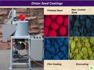 Pelleted Seed Non- Coated
Seed
Film Coating Encrusting
Onion Seed Coatings
32
 