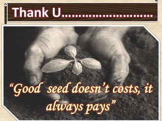 Trend in enhancing seed quality of vegetable crops