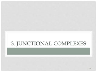 3. JUNCTIONAL COMPLEXES
14
 