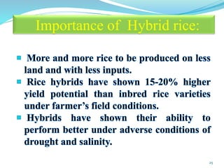 Hybrid Rice - Prospectus and Challenges | PPTX