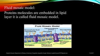 Fluid mosaic model:
Proteins molecules are embedded in lipid
layer it is called fluid mosaic model.
7/2/2017Mujahid Hussain (Department of Botany, University of Sargodha, Sargodha, Punjab, Pakistan) mujahid.hussain7877@gmail.com
6
 