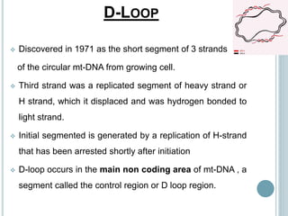 Organization and Regulation of Mitochondrial Protein Synthesis | PPTX