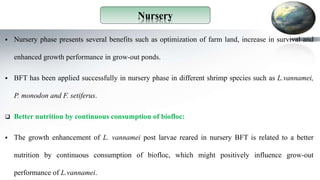  Nursery phase presents several benefits such as optimization of farm land, increase in survival and
enhanced growth performance in grow-out ponds.
 BFT has been applied successfully in nursery phase in different shrimp species such as L.vannamei,
P. monodon and F. setiferus.
 Better nutrition by continuous consumption of biofloc:
 The growth enhancement of L. vannamei post larvae reared in nursery BFT is related to a better
nutrition by continuous consumption of biofloc, which might positively influence grow-out
performance of L.vannamei.
Nursery
 