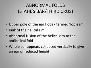 Ear Rim Rolled CONGENITAL MALFORATION OF EAR AND ITS MANAGEMENT | PPTX