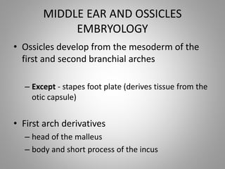 Dysplastic Incus CONGENITAL MALFORATION OF EAR AND ITS MANAGEMENT | PPTX