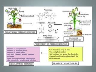 Biotic and Abitic stress response | PPTX