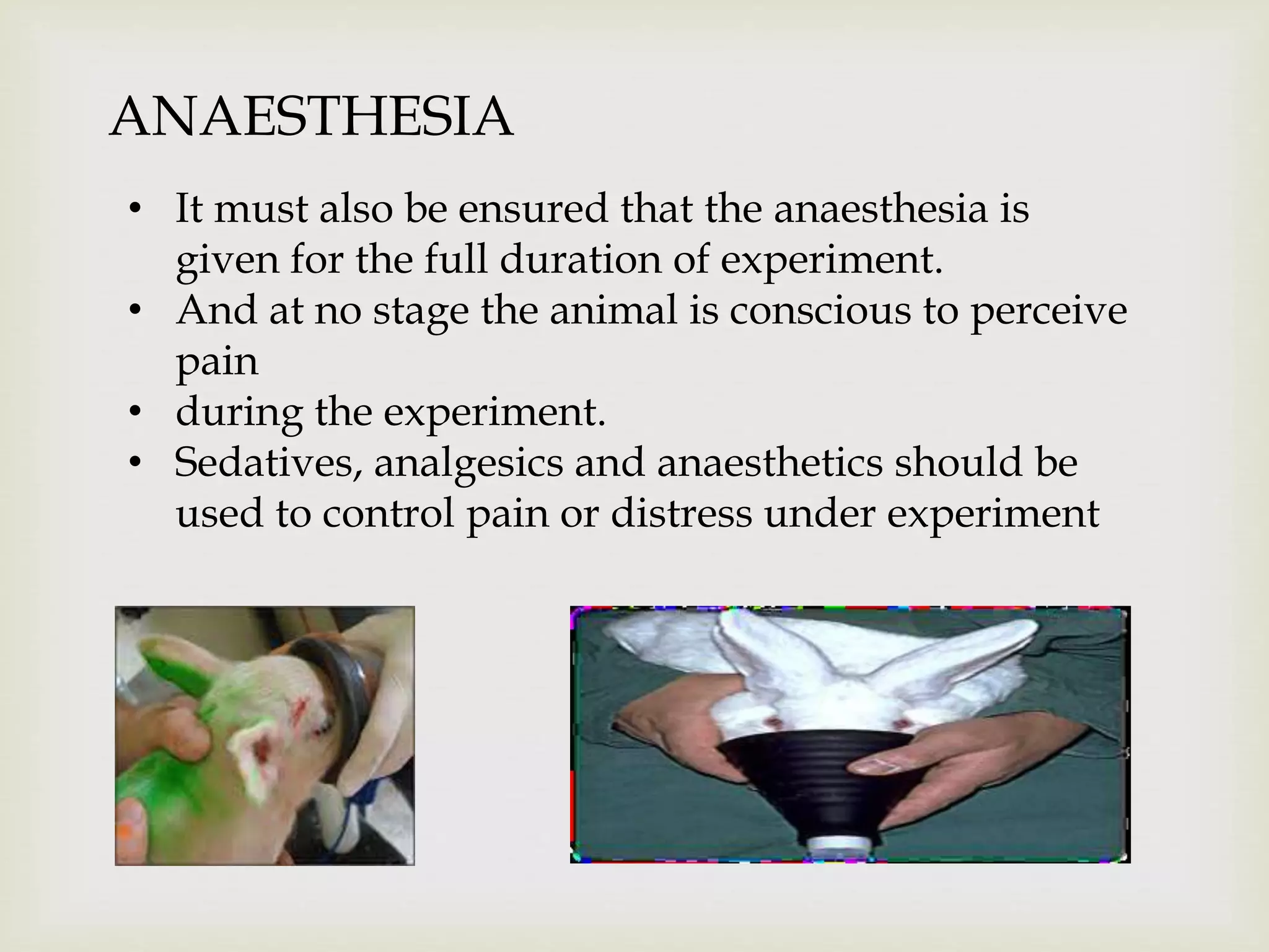 ANAESTHESIA
• It must also be ensured that the anaesthesia is
given for the full duration of experiment.
• And at no stage the animal is conscious to perceive
pain
• during the experiment.
• Sedatives, analgesics and anaesthetics should be
used to control pain or distress under experiment
 