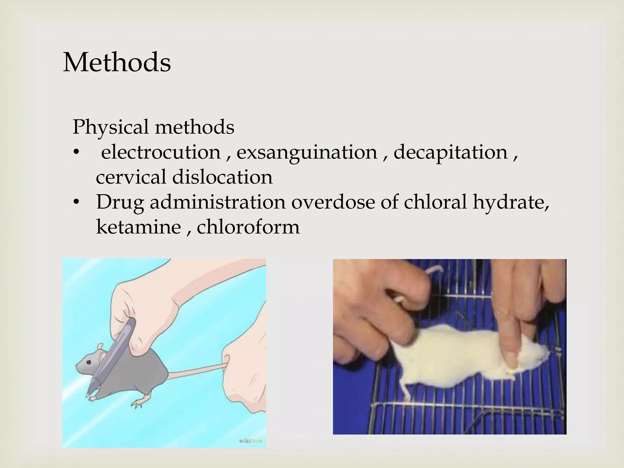 Methods
Physical methods
• electrocution , exsanguination , decapitation ,
cervical dislocation
• Drug administration overdose of chloral hydrate,
ketamine , chloroform
 
