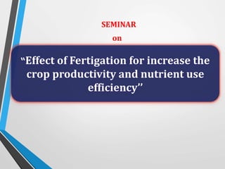 SEMINAR
on
“Effect of Fertigation for increase the
crop productivity and nutrient use
efficiency’’
 