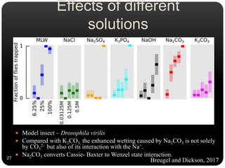Effects of different
solutions
 Model insect – Drosophila virilis
 Compared with K2CO3, the enhanced wetting caused by Na2CO3 is not solely
by CO3
2- but also of its interaction with the Na+.
 Na2CO3 converts Cassie- Baxter to Wenzel state interaction.
Breugel and Dickson, 201727
 