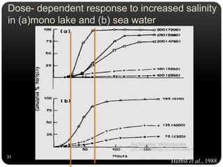 Dose- dependent response to increased salinity
in (a)mono lake and (b) sea water
Herbst et al., 1988
31
 