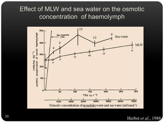 Effect of MLW and sea water on the osmotic
concentration of haemolymph
Herbst et al., 1988
33
 