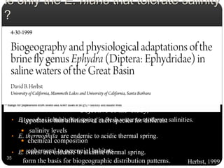 35
• E. geodeni inhabits hot spring in fresh water to moderate salinities.
• E. thermophila are endemic to acidic thermal spring.
• E. bruesi are endemic to alkaline thermal spring.
Is only the E. hians that tolerate salinity
?
Herbst, 1999
Objective of the study,
Hypothesis that affinities of each species for different
 salinity levels
 chemical composition
 ephemeral to perennial habitats
form the basis for biogeographic distribution patterns.
 