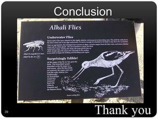 Conclusion
Thank you39
 