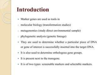 Introduction
 Marker genes are used as tools in
o molecular biology (transformation studies)
o metagenomics (study direct environmental sample)
o phylogenetic analysis (genetic lineage)
 They are used to determine whether a particular piece of DNA
or gene of interest is successfully inserted into the target DNA.
 It is also used to determine orthologous gene groups.
 It is present next to the transgene.
 It is of two types: screenable markers and selectable markers.
 